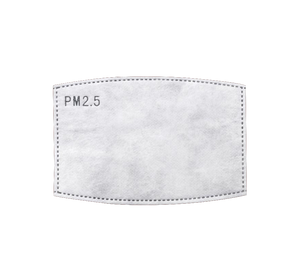 PM2.5 Insert for Face Masks - Kaitlyn Pan Shoes